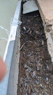 Does that say clean gutters?