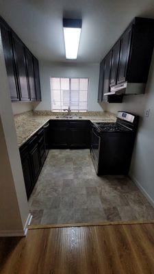 Elegant upgraded kitchen with high-end stainless steel appliances and granite countertop.