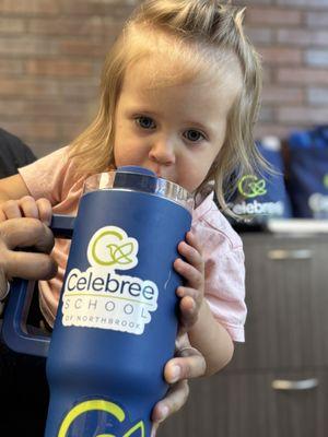 Celebree School of Northbrook