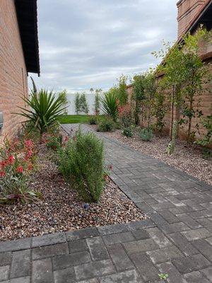 Viveros Vision Landscapes