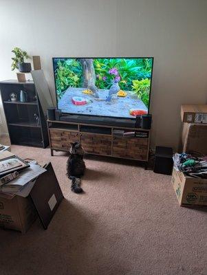 SUNY Upstate Outpatient