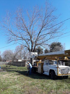 Johnson's Tree Surgery & Landscaping