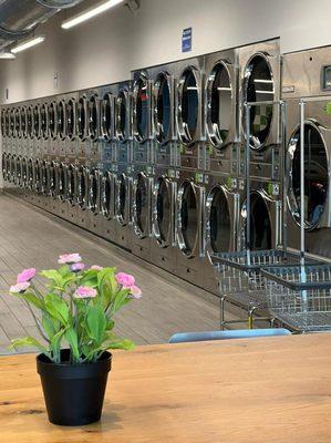 Our dryers!