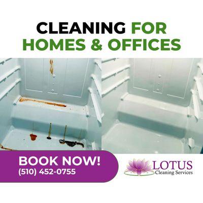 Lotus Cleaning Services