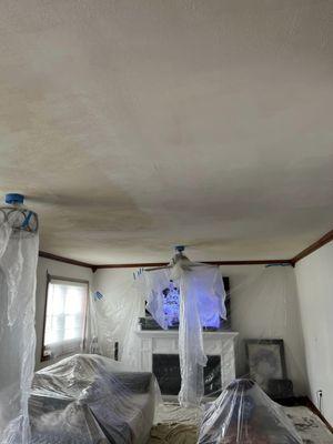 MN Painting and Stucco