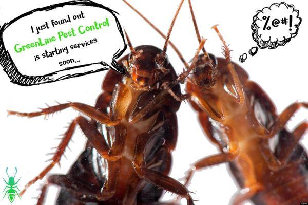 GreenLine Pest Control
