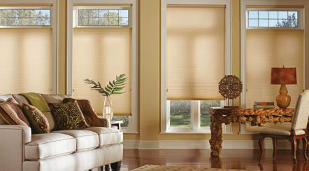 Discount Window Focus