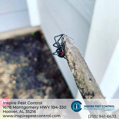 Inspire Pest Control