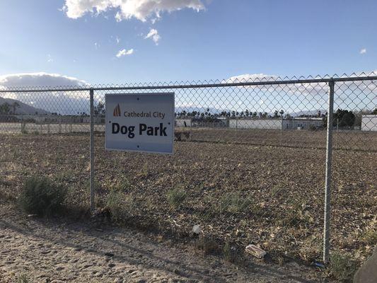 Dog Park...