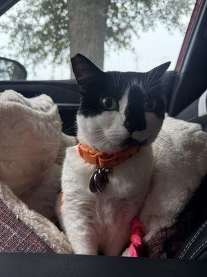 X-Way Road Animal Hospital