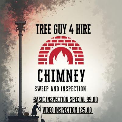 The Tree Guy 4 Hire
