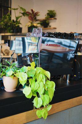 Harder Day Coffee