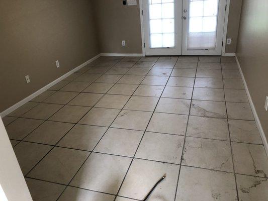 STV Carpet and Tile Cleaning