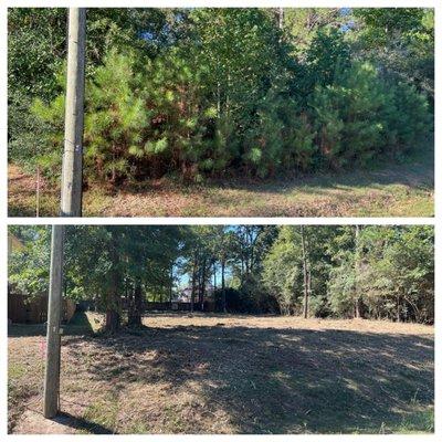 BA Lot & Land Service