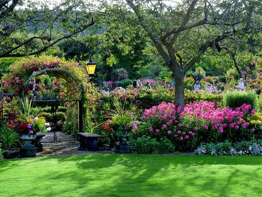 San Juan Garden Services