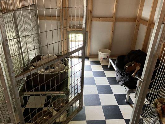 Hound Haven of Lone Pine