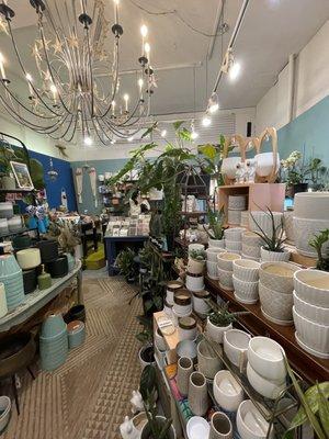 Plant Stand Collective photo