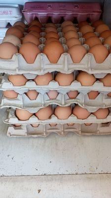 Local Eggs
