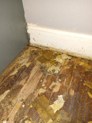 Smky Mnt Flooring And Remolding