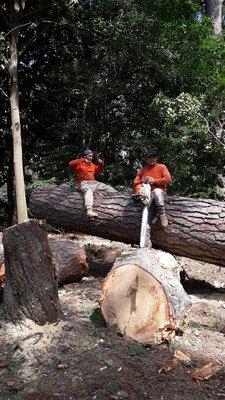 Franco's Lawn & Tree Service