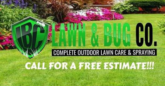 Lawn and Bug