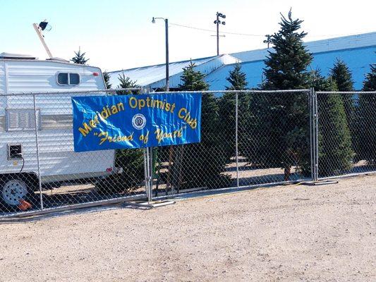 Meridian Optimist tree lot