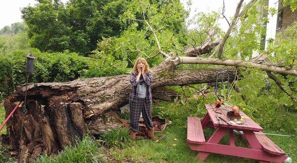 A-1 Good Ol Boys Tree Service