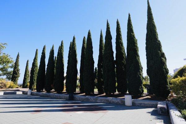 Balboa Park Activity Center