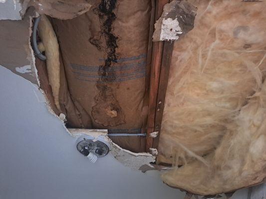 West Coast Roofing, LLC