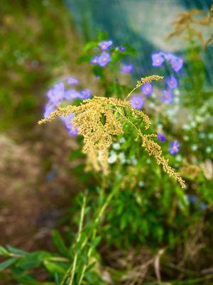 Sweet September 2024