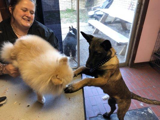 Samantha aka Sam is keeping Cameron company while Shonda gets all her tangles out of her hair - distracting her as they play!