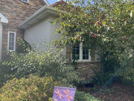 All Seasons Tree Service