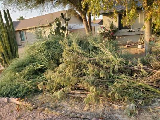 Waters Removal Services