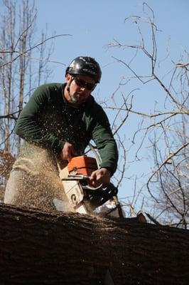 Mandella's Tree Service