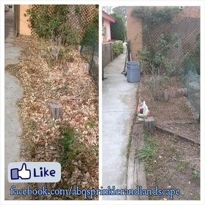 Gabe's Landscaping Services