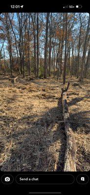 Guinn Forestry Services