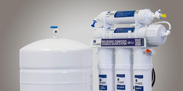 BlueWater International - Rey Rivera