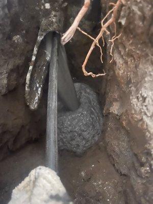 Larel Block Quality Plumbing