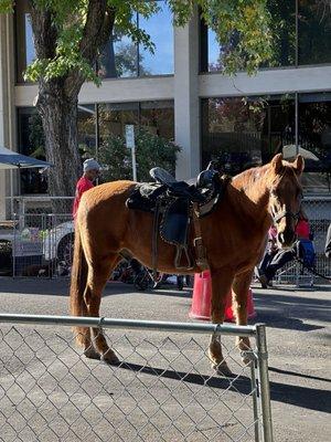 Broadway International Festival