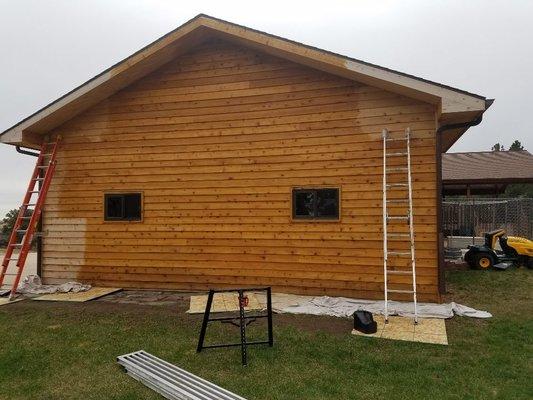 Tile Paint Carpentry