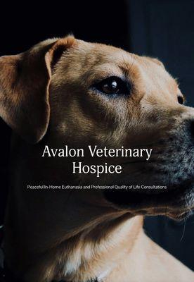 Avalon Veterinary Hospice