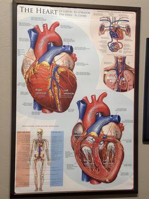 Pima Heart Physicians PC