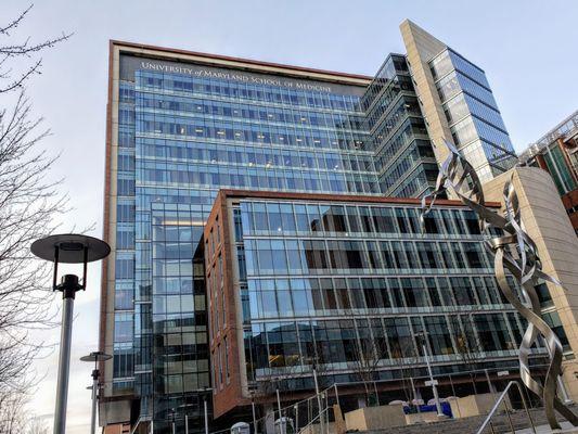 University Of Maryland Baltimore