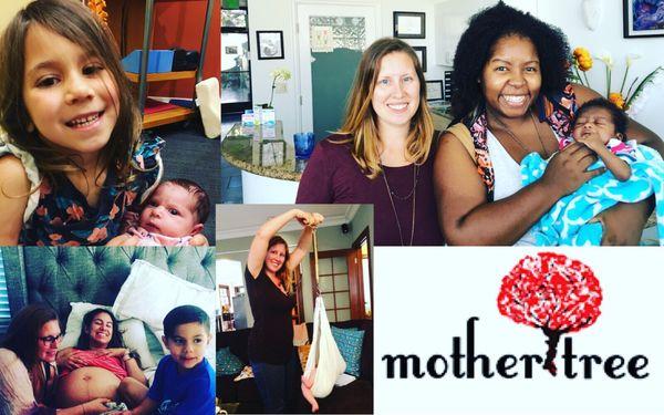 Laura Burnett, LM CPM