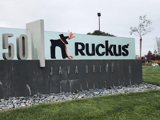 Ruckus Networks