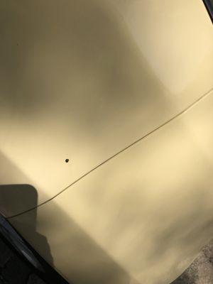 Bird poo dot, noticed this at the car wash but didn't want to tell them they clearly weren't done washing my poor car