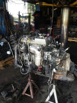 Omega Professional Auto Repair