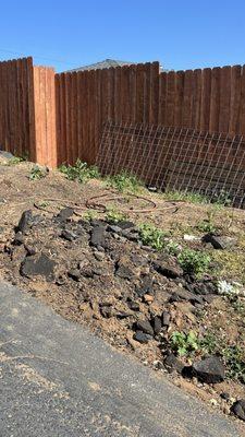 24 Seven Tree Service