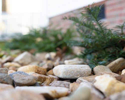 M & M Landscape Management