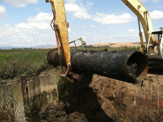 Wetland Construction